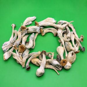 Buy Mushroom Online