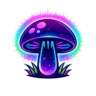 Shrooms Delivery Store